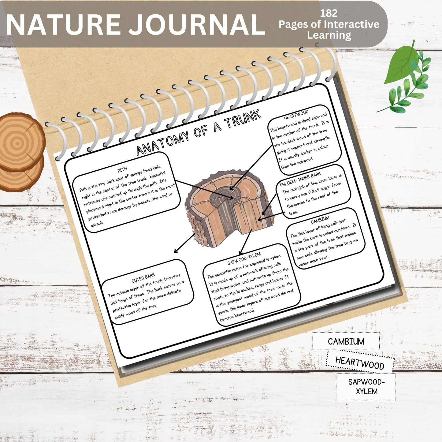 Nature Journal Mega Bundle Homeschool Learning Materials Charlotte Mason Nature Study Preschool Curriculum Toddler Busy Book Montessori