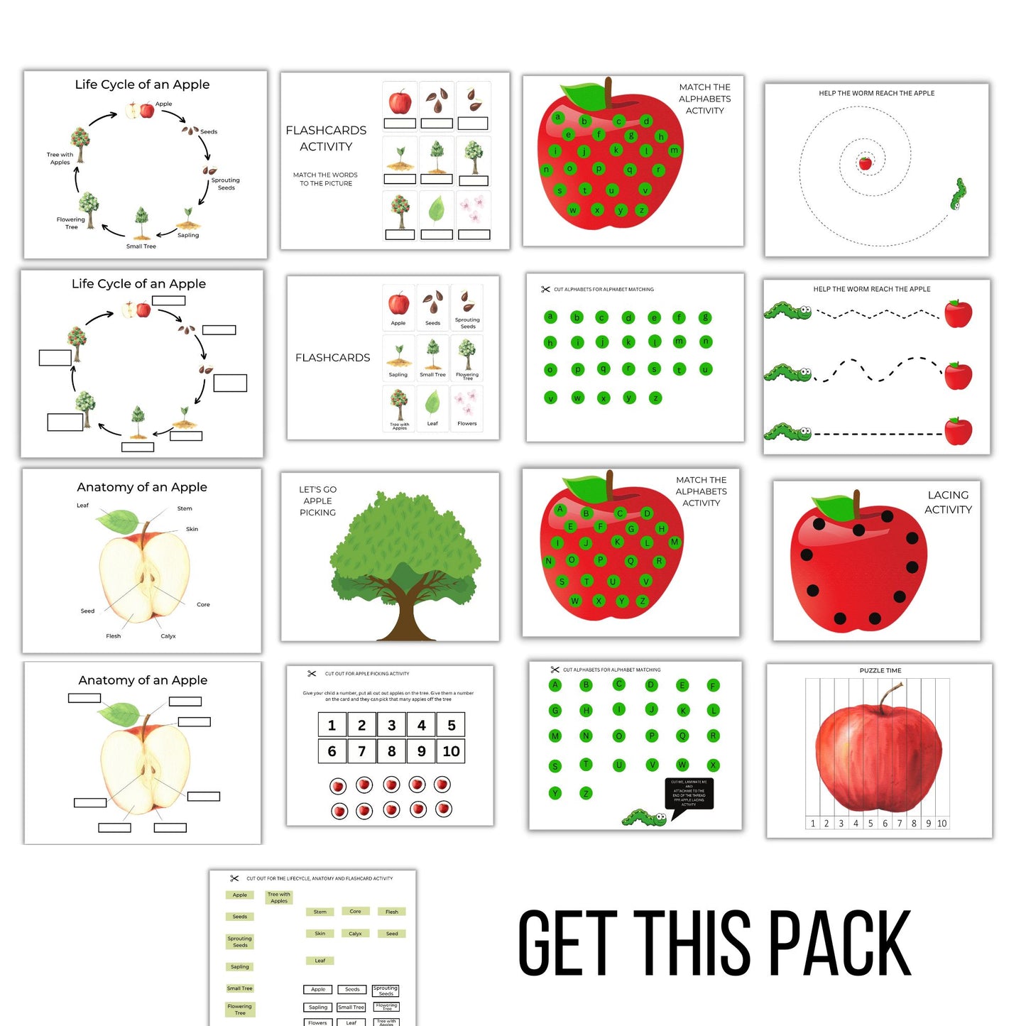 Apple Unit Study | Life Cycle, Anatomy, Nature Study | Montessori & Kindergarten Science Activities