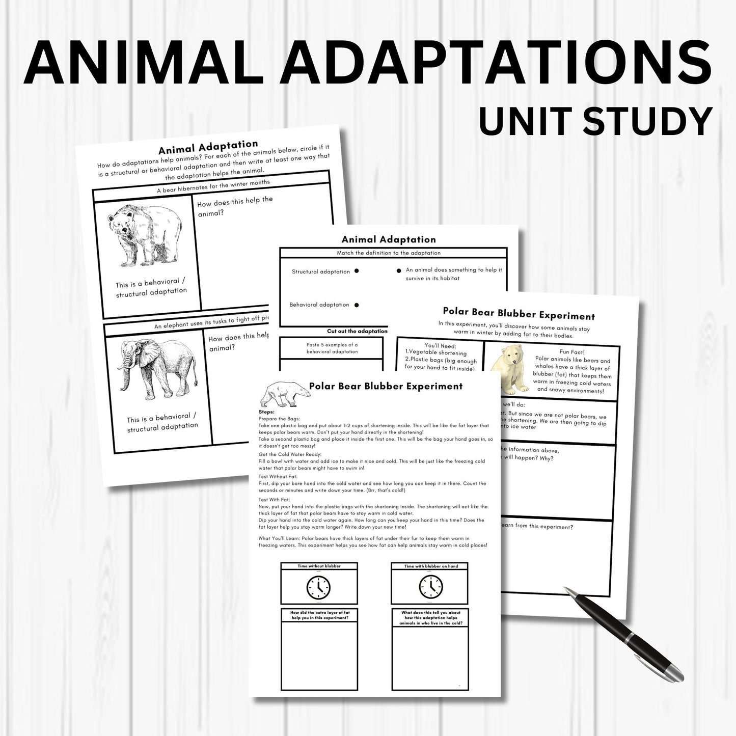 Animal Adaptation Unit Study - Printable Homeschool Learning Bundle | Nature Study Curriculum for Preschool & Early Learners | Science Educational Activities