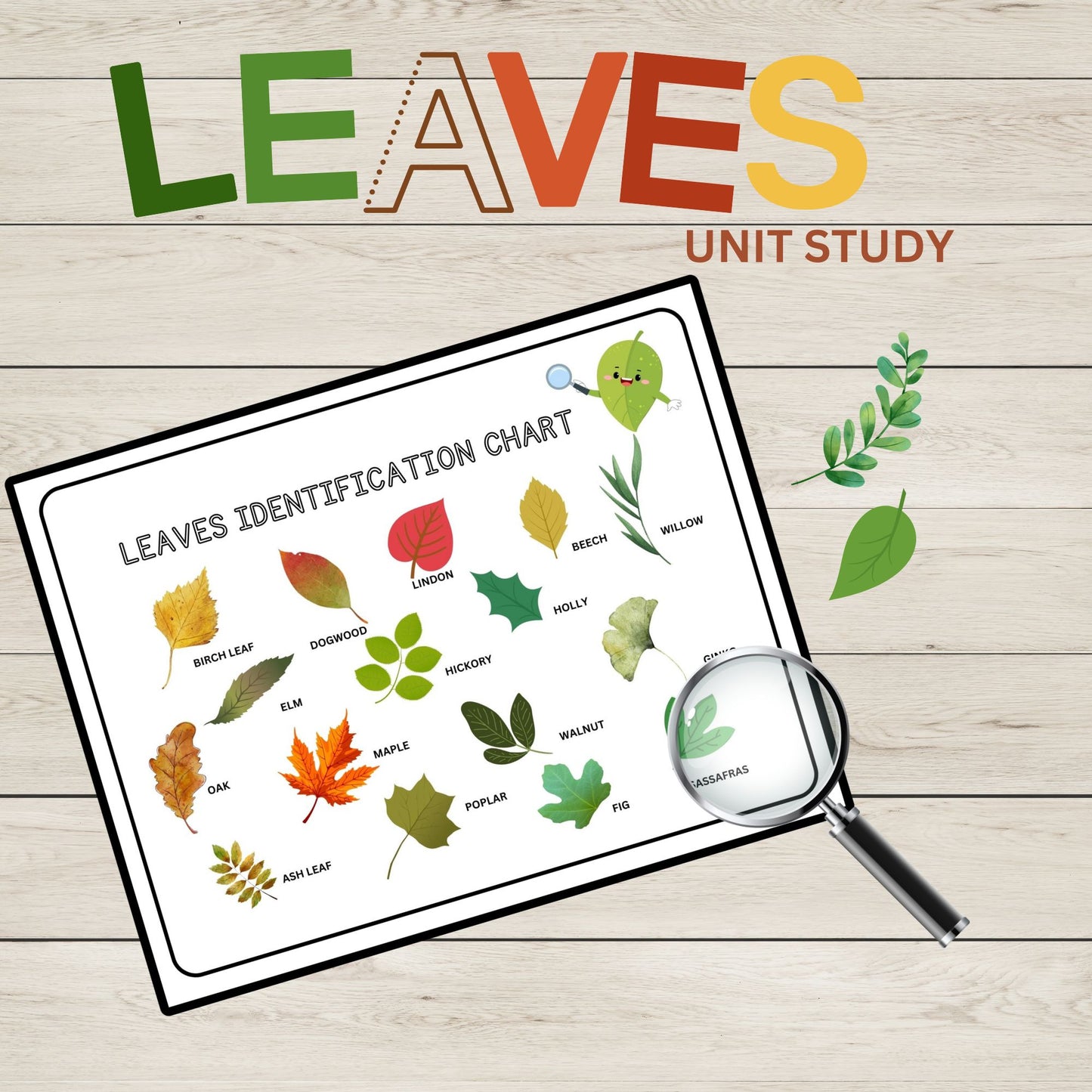 Leaves Unit Study Bundle Anatomy of a Leaf Charlotte Mason Nature Study Learning Activities for Preschool Fall Leaves Educational Materials