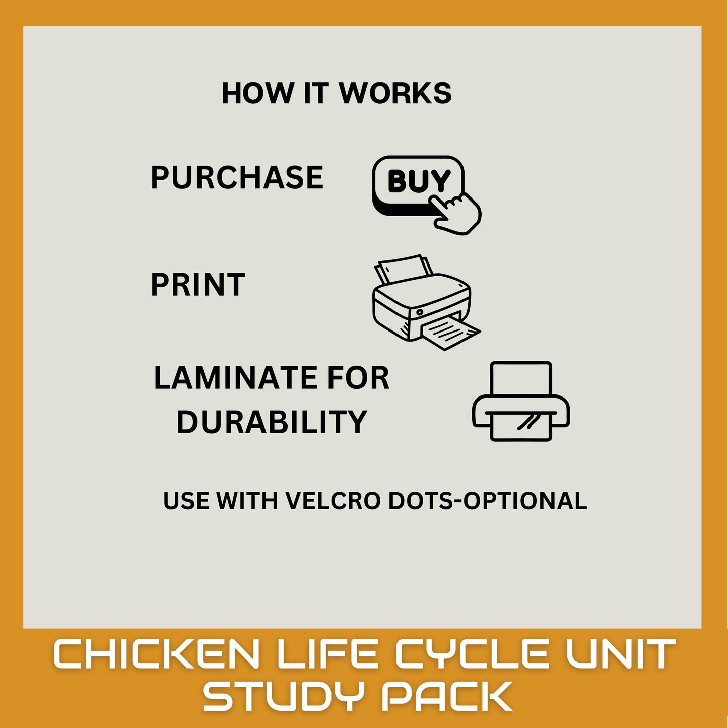 Chicken Unit Study for Homeschool – Life Cycle, Anatomy & Chick Activities | Nature Science Summer Learning Bundle