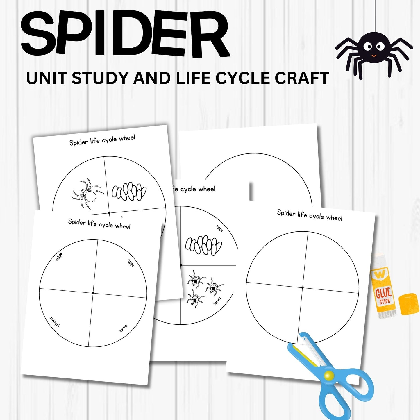 Printable Spider Unit Study for Kids – Life Cycle Worksheets, Craft, and Halloween Homeschool Science Activity