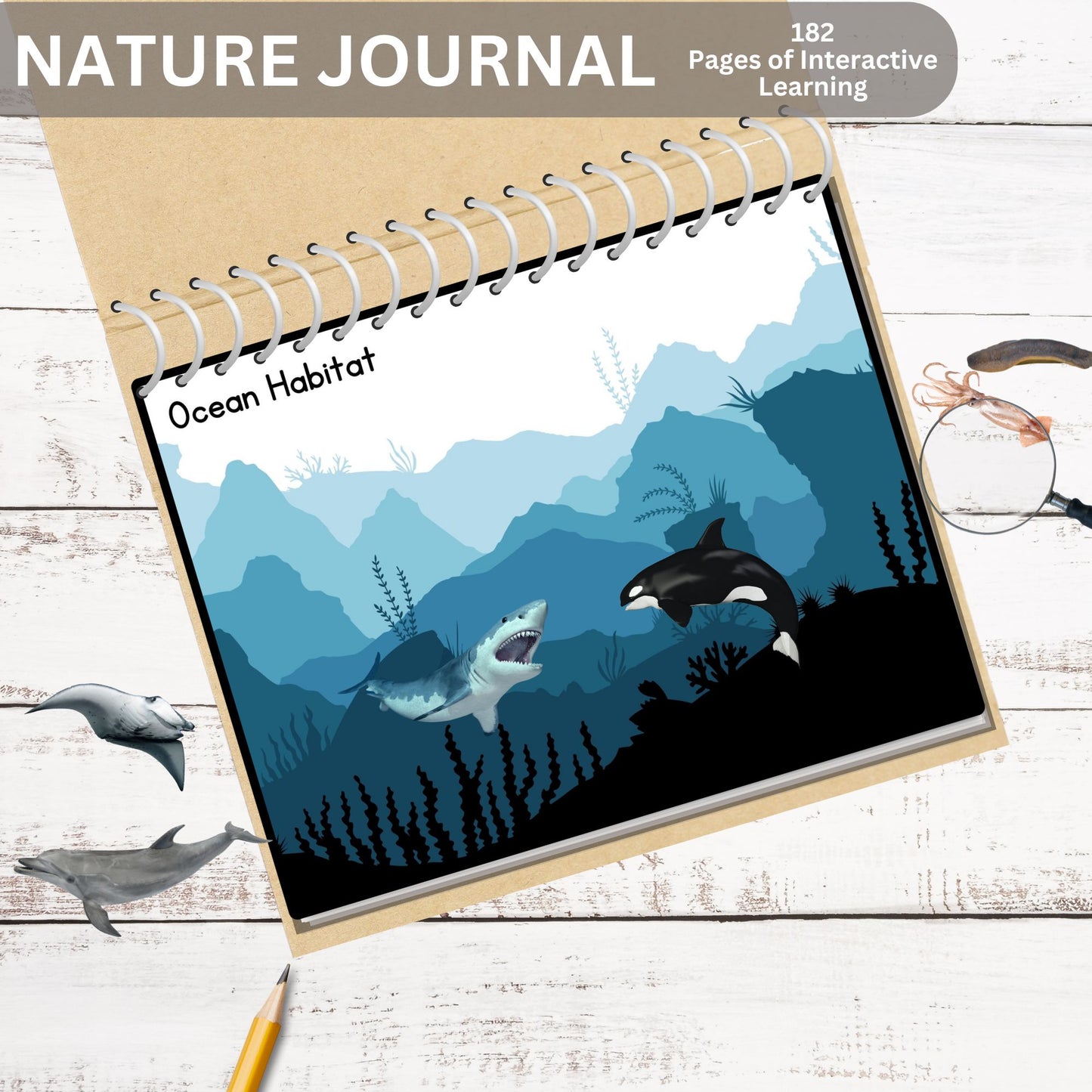 Nature Journal Mega Bundle Homeschool Learning Materials Charlotte Mason Nature Study Preschool Curriculum Toddler Busy Book Montessori