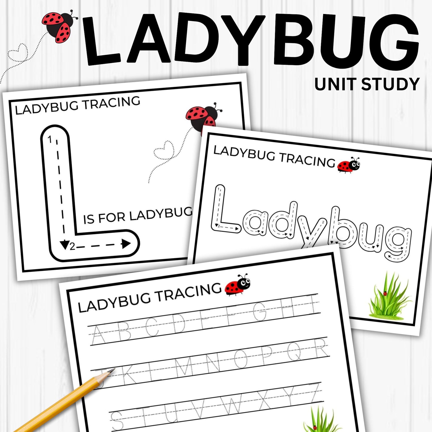 Ladybug Unit Study Homeschool Spring Printables Charlotte Mason kids Nature Study Anatomy of a Ladybug Life Cycle Ladybird Study Pack