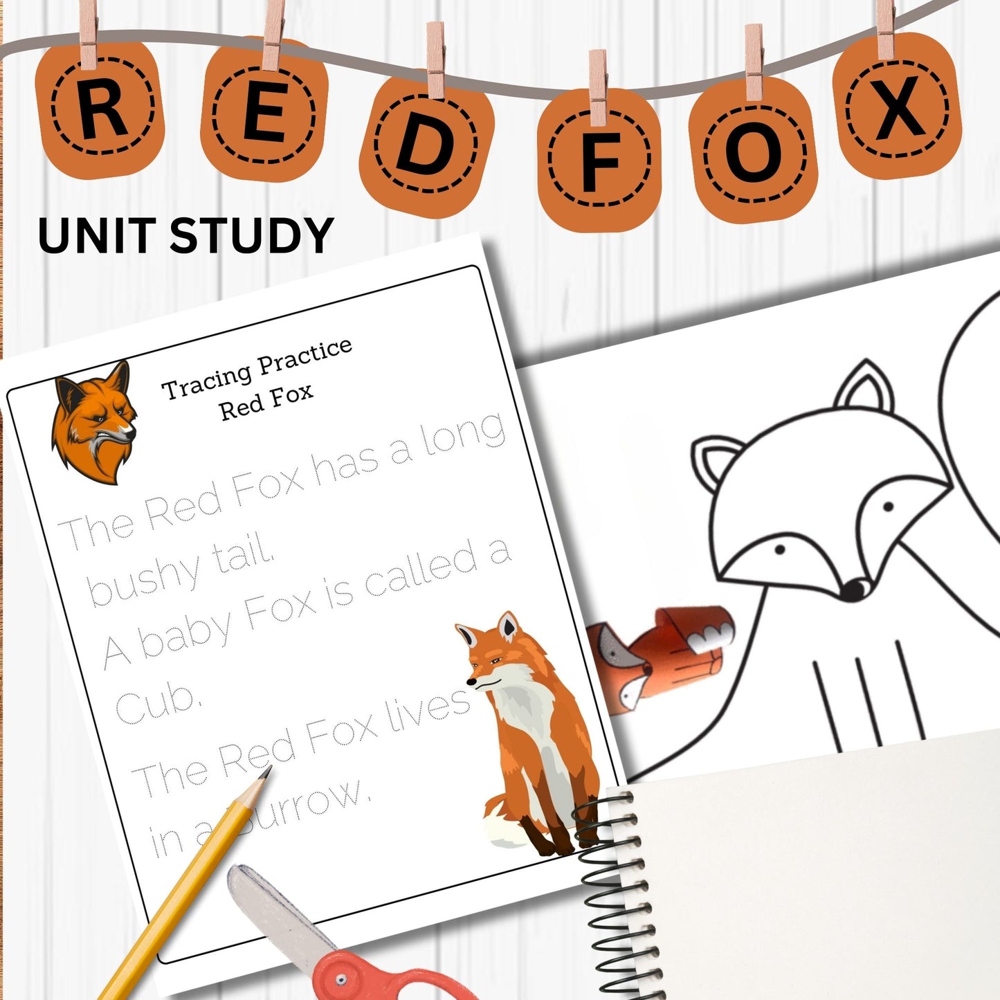 Red Fox Unit Study Kids Homeschool Fall Activities Red Fox Anatomy & Life Cycle Red Fox Poster and Flash Cards Nature Study Journal