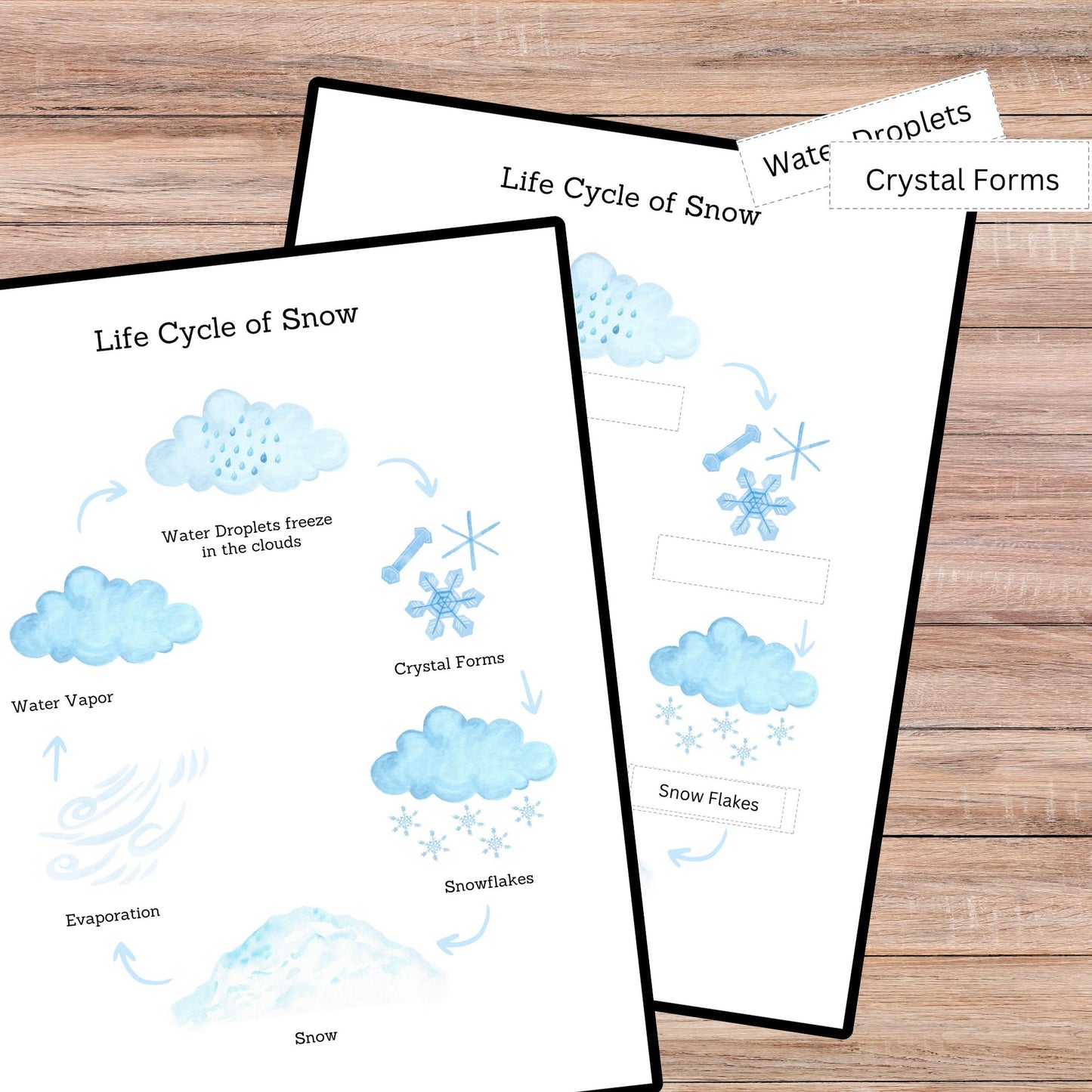 Snow Unit Study Snowflakes Printable Resources Homeschool Learning Bundle Winter Kids Activity Life Cycle of Snow Preschool Curriculum kids