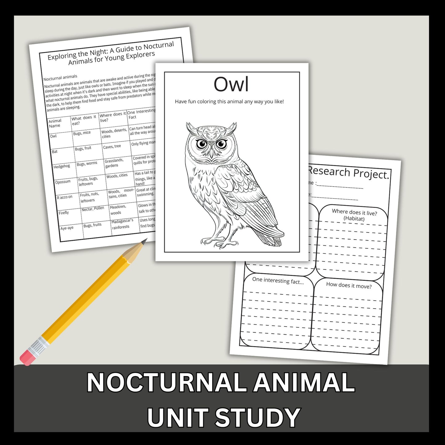 Nocturnal Animals Unit Study Printable Bundle Early Reader Animal Research Montessori Nature Study Animals Coloring 1st Grade 2nd Grade