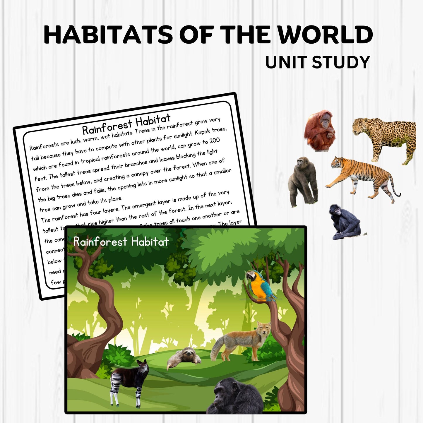 Habitats Unit Study Printable Resources Homeschool Learning Bundle Nature Studies Preschool Curriculum Educational Activities Science Unit