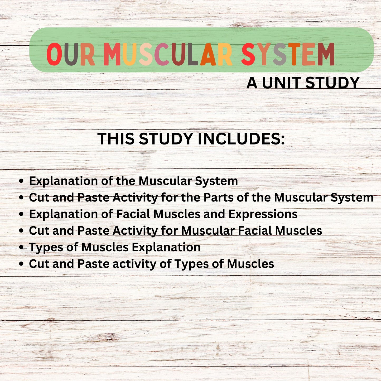 Muscular System Unit Study for Elementary Students | Printable Human Body Anatomy Science Lesson