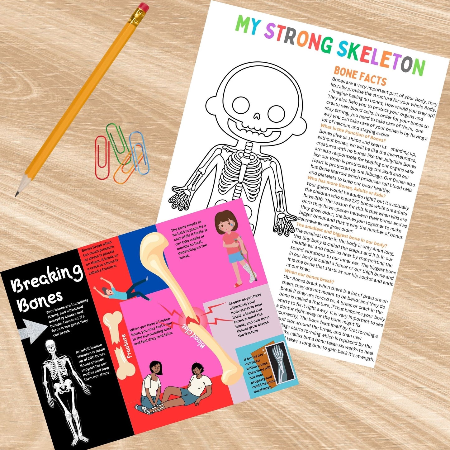Human Skeleton Anatomy Busy Book Skeleton Study Printable Kids Learning Activity Moving Skeleton Parts Worksheet Homeschool Resource Kids