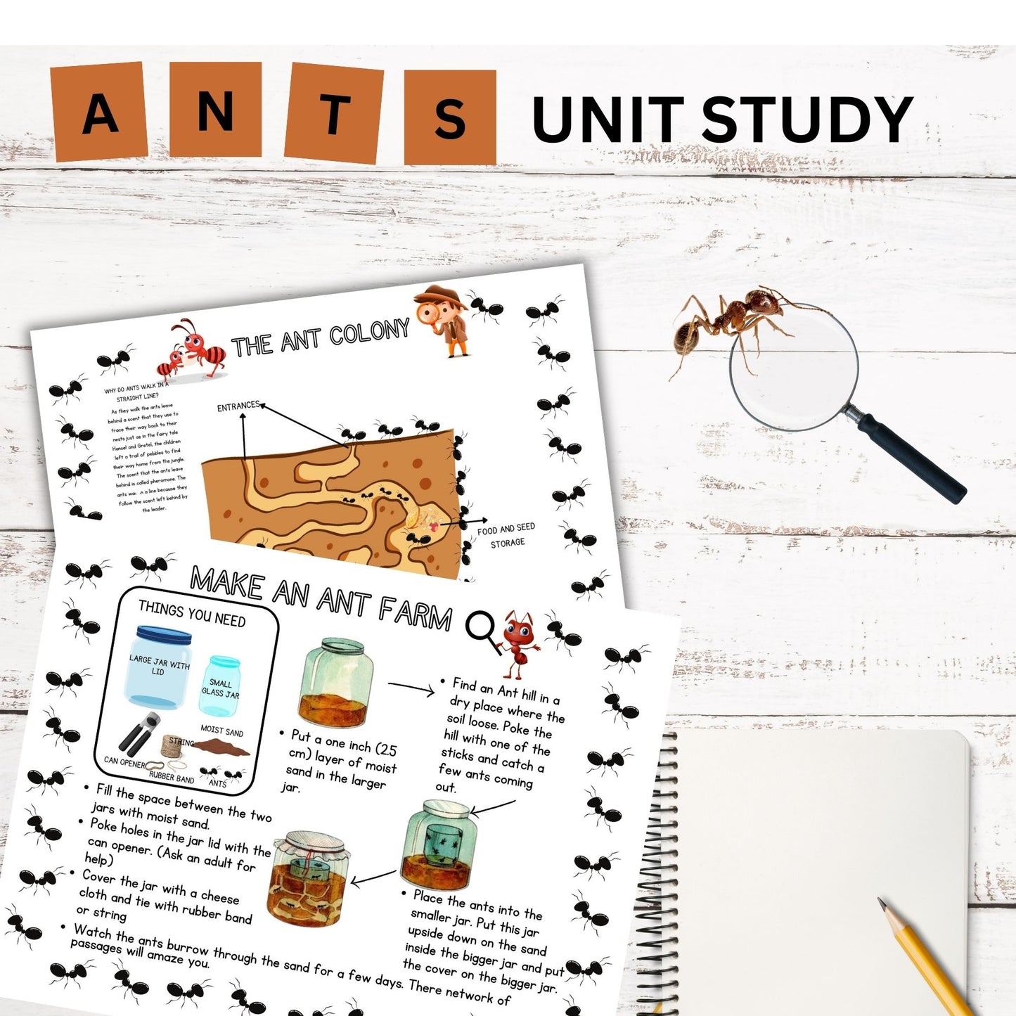 Ant Nature Study Bundle: Charlotte Mason-Inspired Ant Colony Learning Materials, Life Cycle Activities & Animal Habitat Printables for Kids