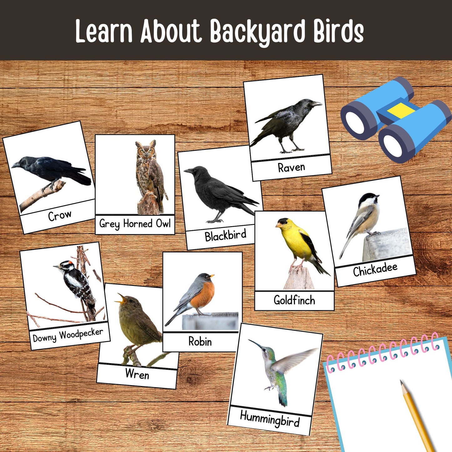 Printable Backyard Birds Unit Study Bird Watching Journal Kids Printable Homeschool Learning Toddler Busy Book Preschool Curriculum kids
