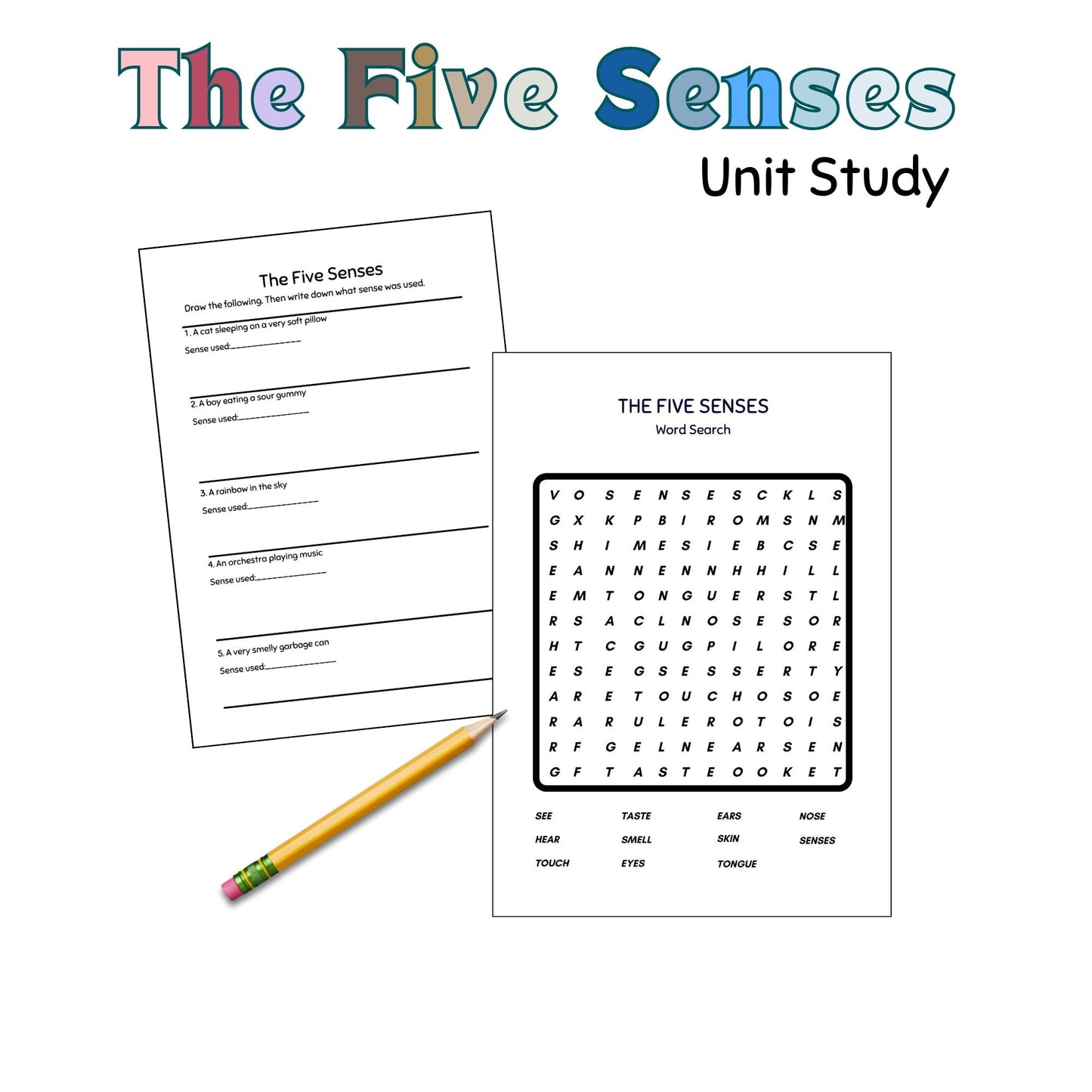 Five Senses Science Unit Study for Preschool – Interactive Homeschool Unit Study Binder and Learning Resources for Kids