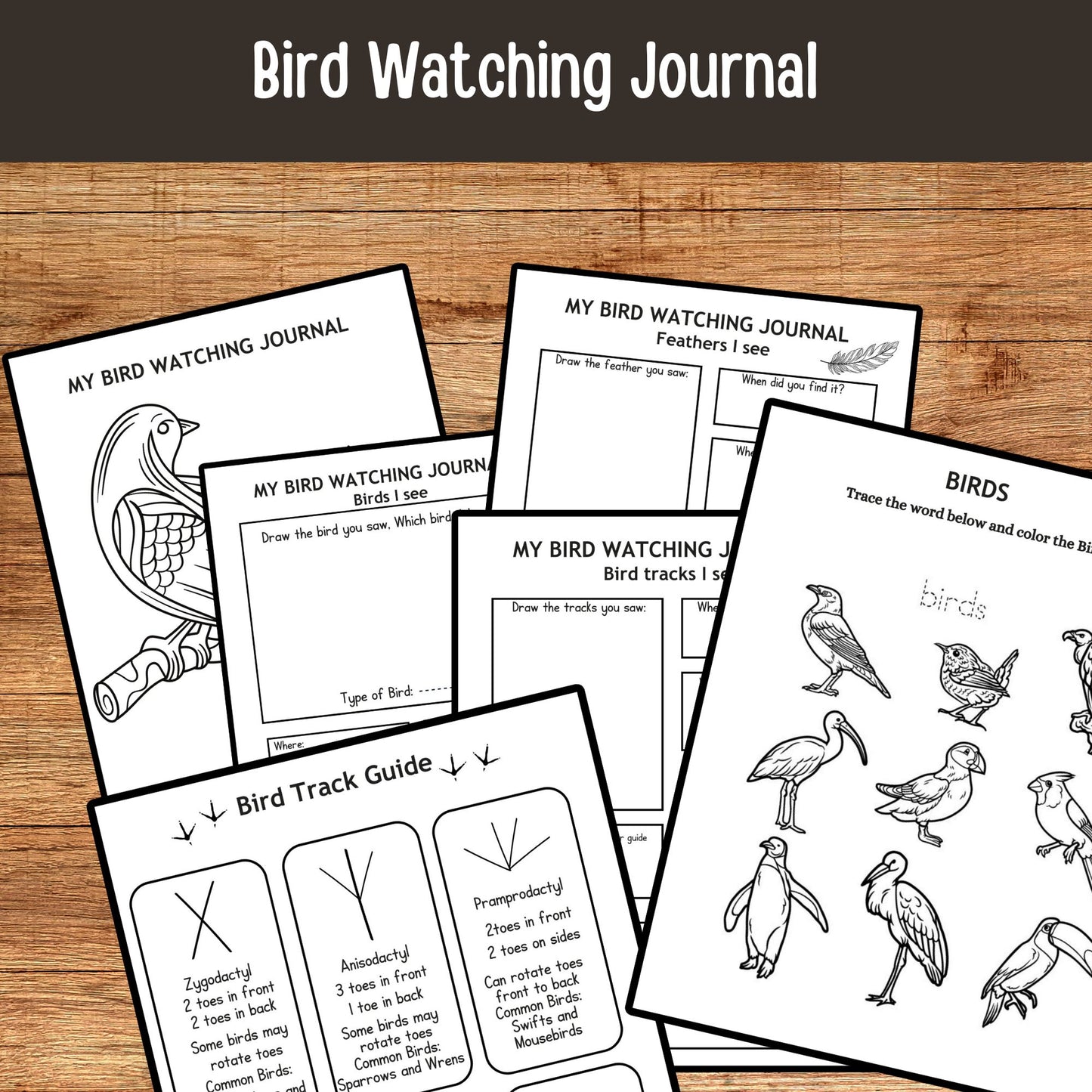 Printable Backyard Birds Unit Study Bird Watching Journal Kids Printable Homeschool Learning Toddler Busy Book Preschool Curriculum kids