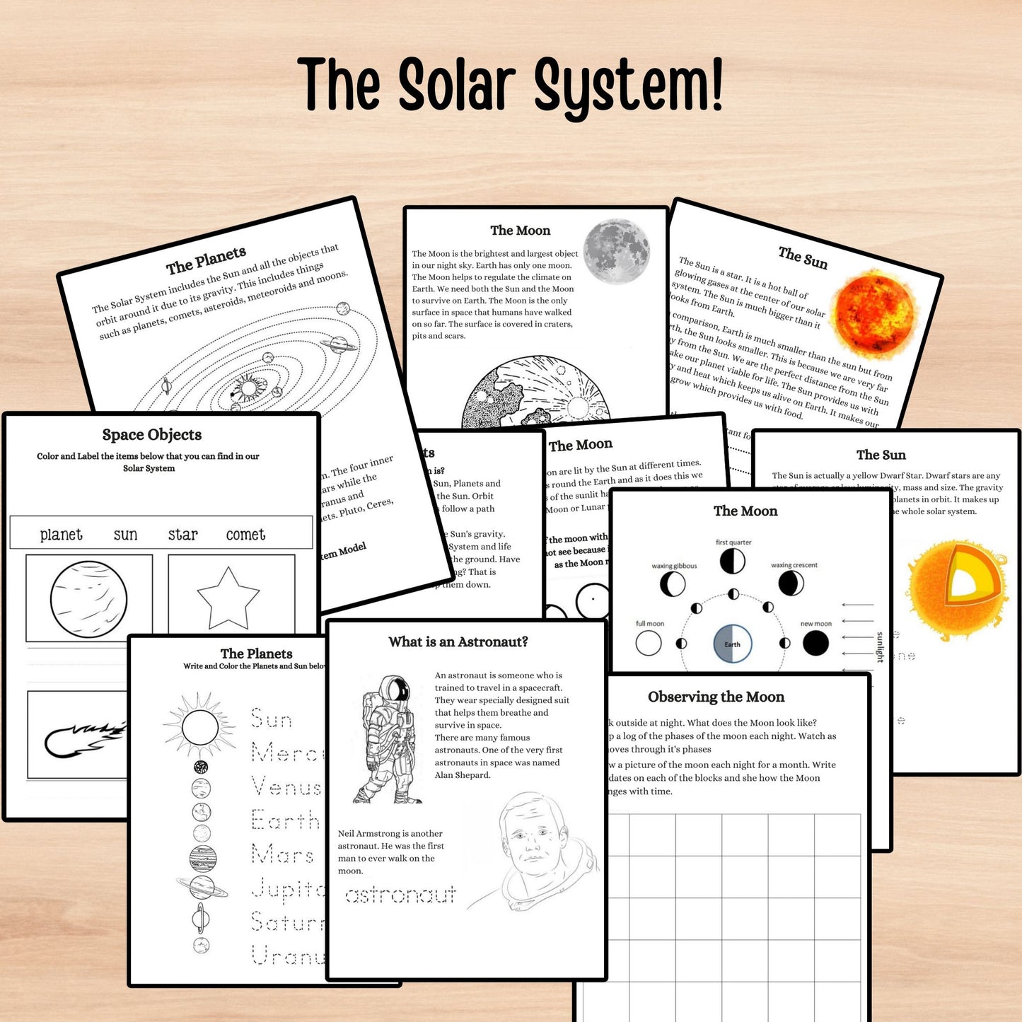 Mega Bundle Science Curriculum Busy Book Teaching Learning Binder Interactive Science Unit Study School Resources Kids Teacher Resource