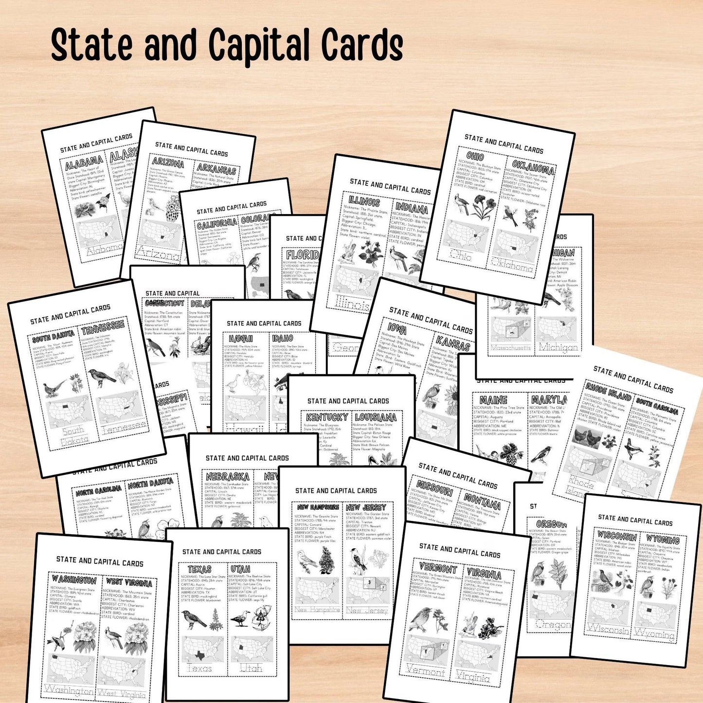 Mega Bundle: Science & U.S. History Curriculum | Homeschool Busy Book & Interactive Learning Binder for Kids
