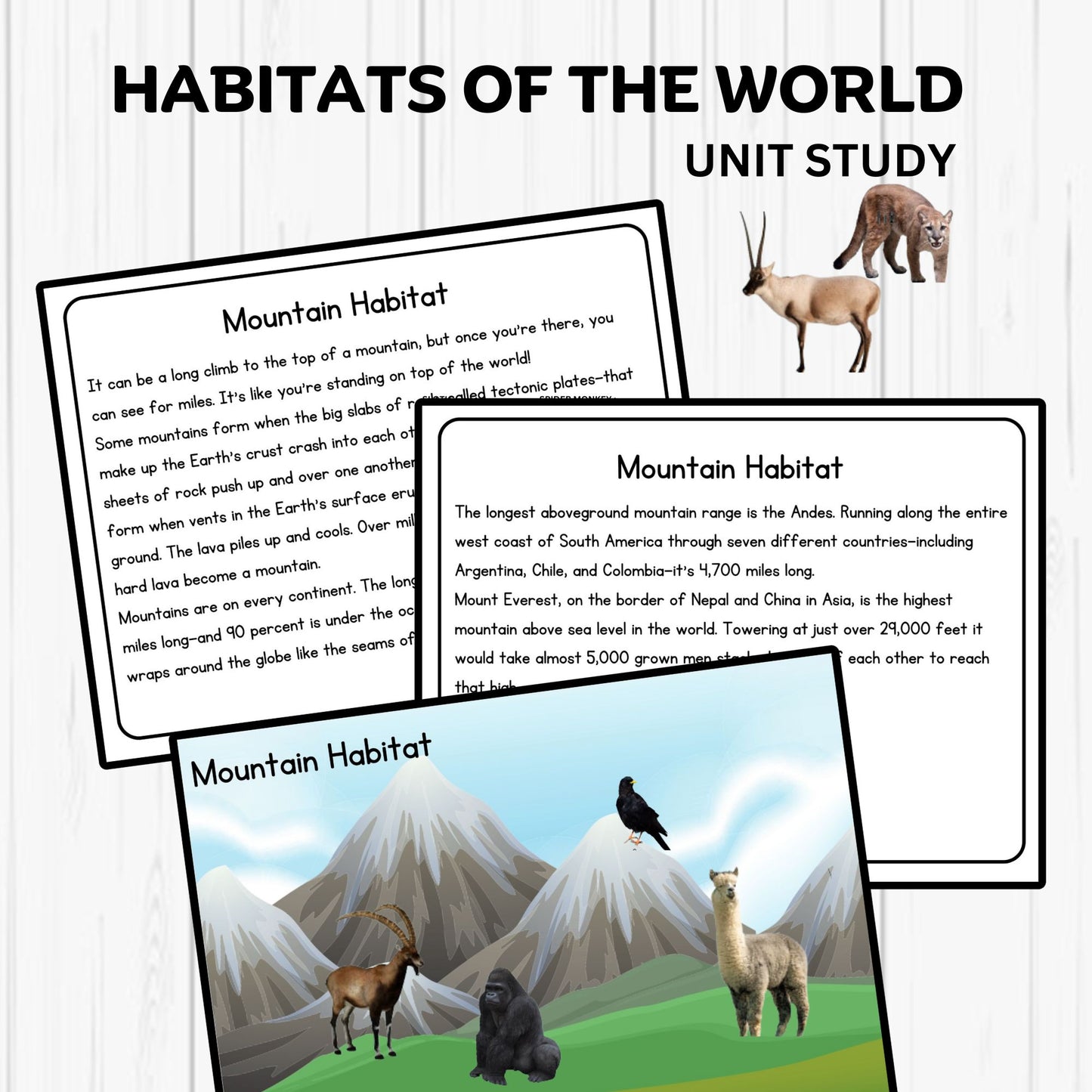 Habitats Unit Study Printable Resources Homeschool Learning Bundle Nature Studies Preschool Curriculum Educational Activities Science Unit