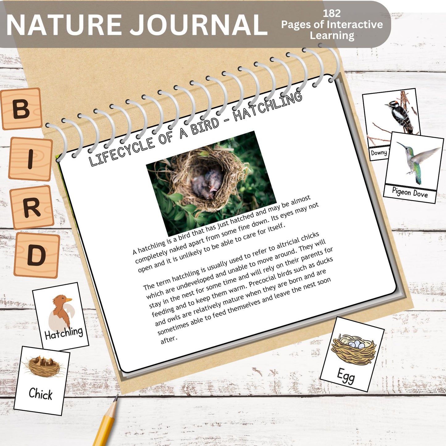 Nature Journal Mega Bundle Homeschool Learning Materials Charlotte Mason Nature Study Preschool Curriculum Toddler Busy Book Montessori