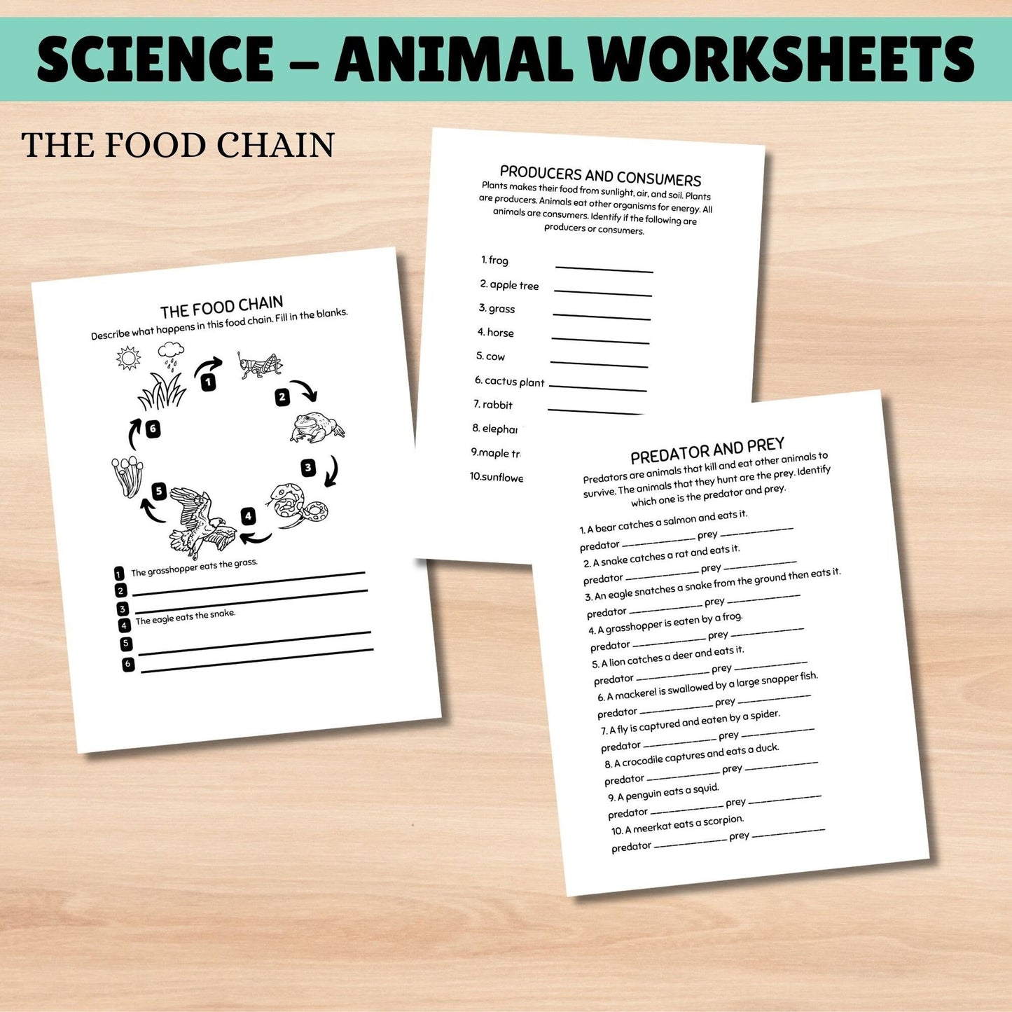 Science Curriculum for Kids | Animals Busy Book | Homeschool Learning Binder | Interactive Science Unit for Grade 1 & 2 | Homeschool Resources