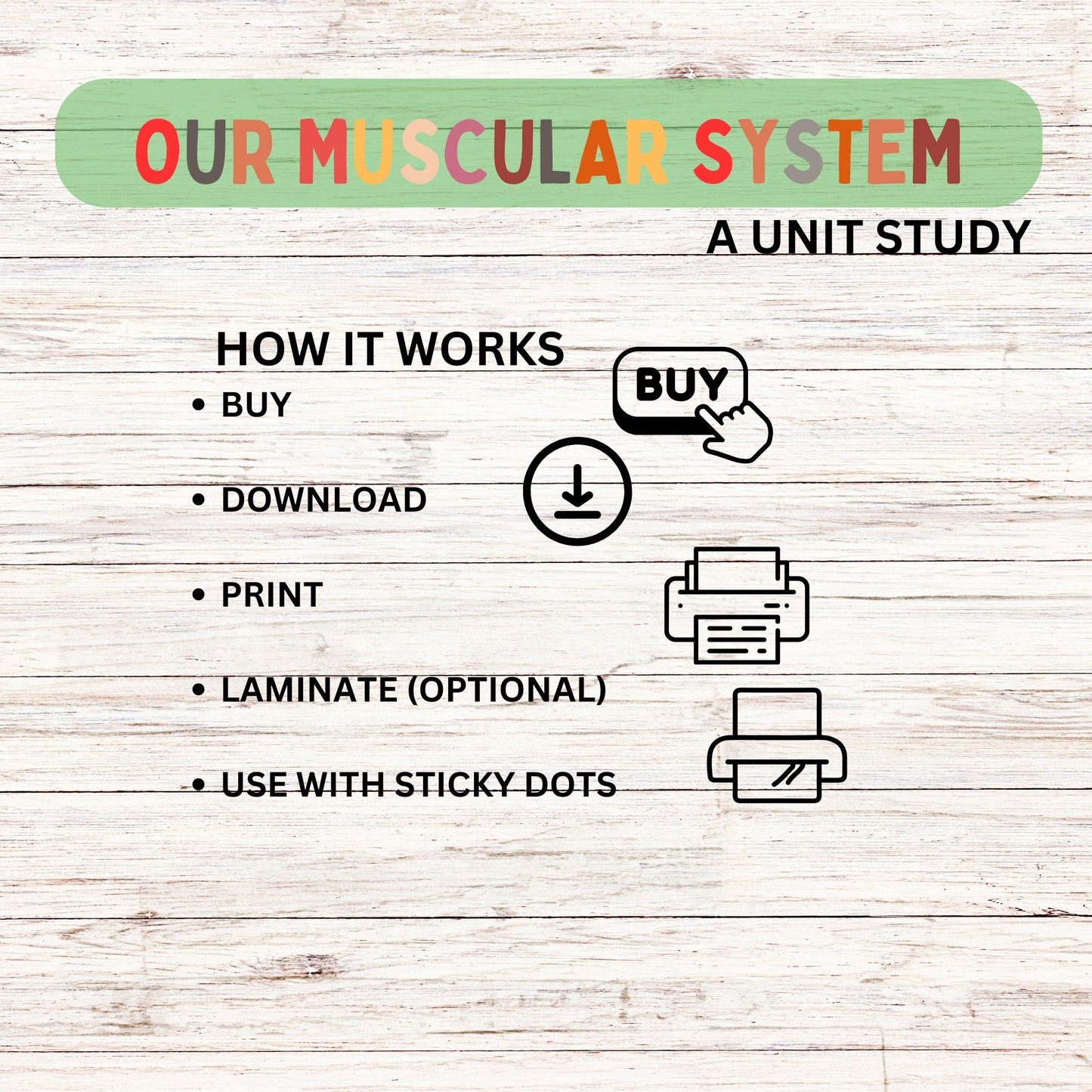 Muscular System Unit Study for Elementary Students | Printable Human Body Anatomy Science Lesson