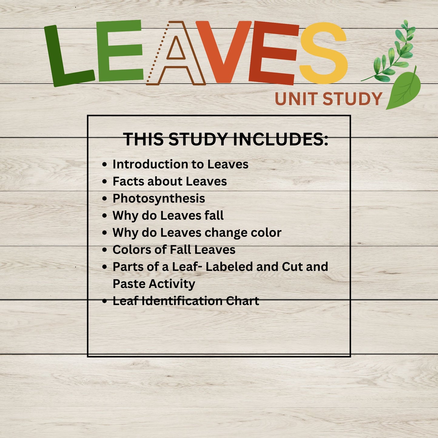 Leaves Unit Study Bundle Anatomy of a Leaf Charlotte Mason Nature Study Learning Activities for Preschool Fall Leaves Educational Materials