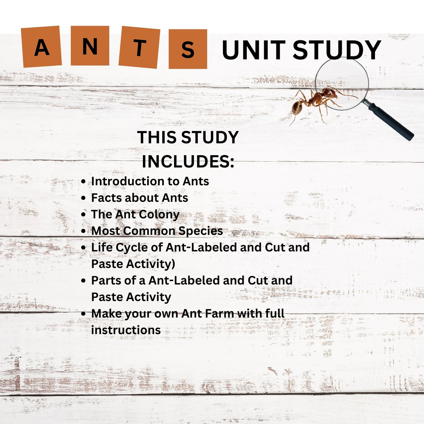 Ant Nature Study Bundle: Charlotte Mason-Inspired Ant Colony Learning Materials, Life Cycle Activities & Animal Habitat Printables for Kids