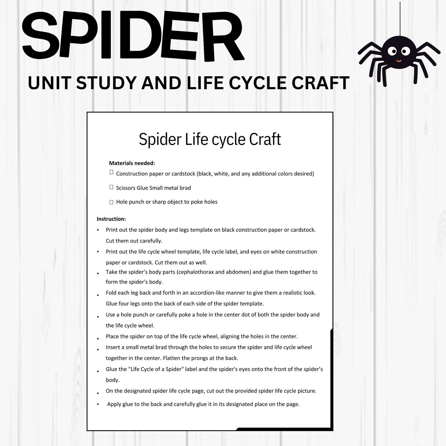 Printable Spider Unit Study for Kids – Life Cycle Worksheets, Craft, and Halloween Homeschool Science Activity