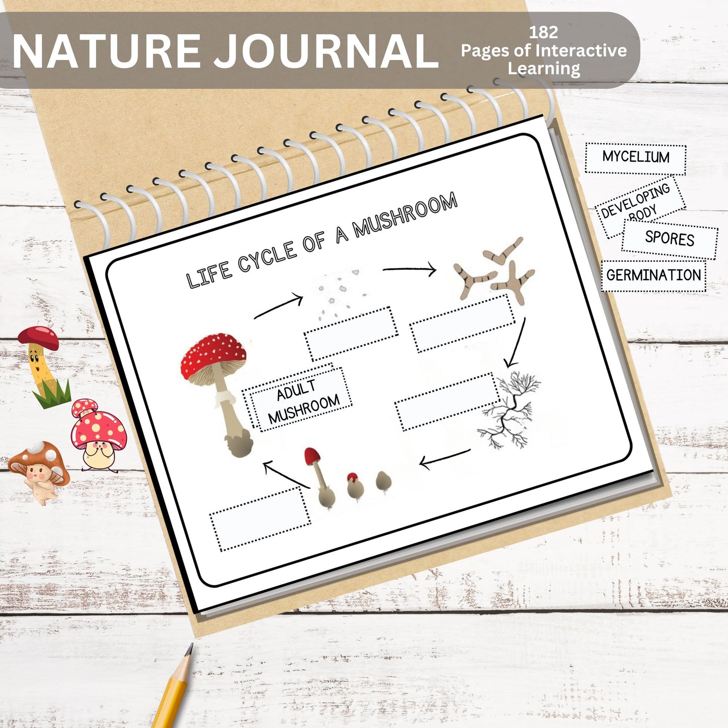 Nature Journal Mega Bundle Homeschool Learning Materials Charlotte Mason Nature Study Preschool Curriculum Toddler Busy Book Montessori