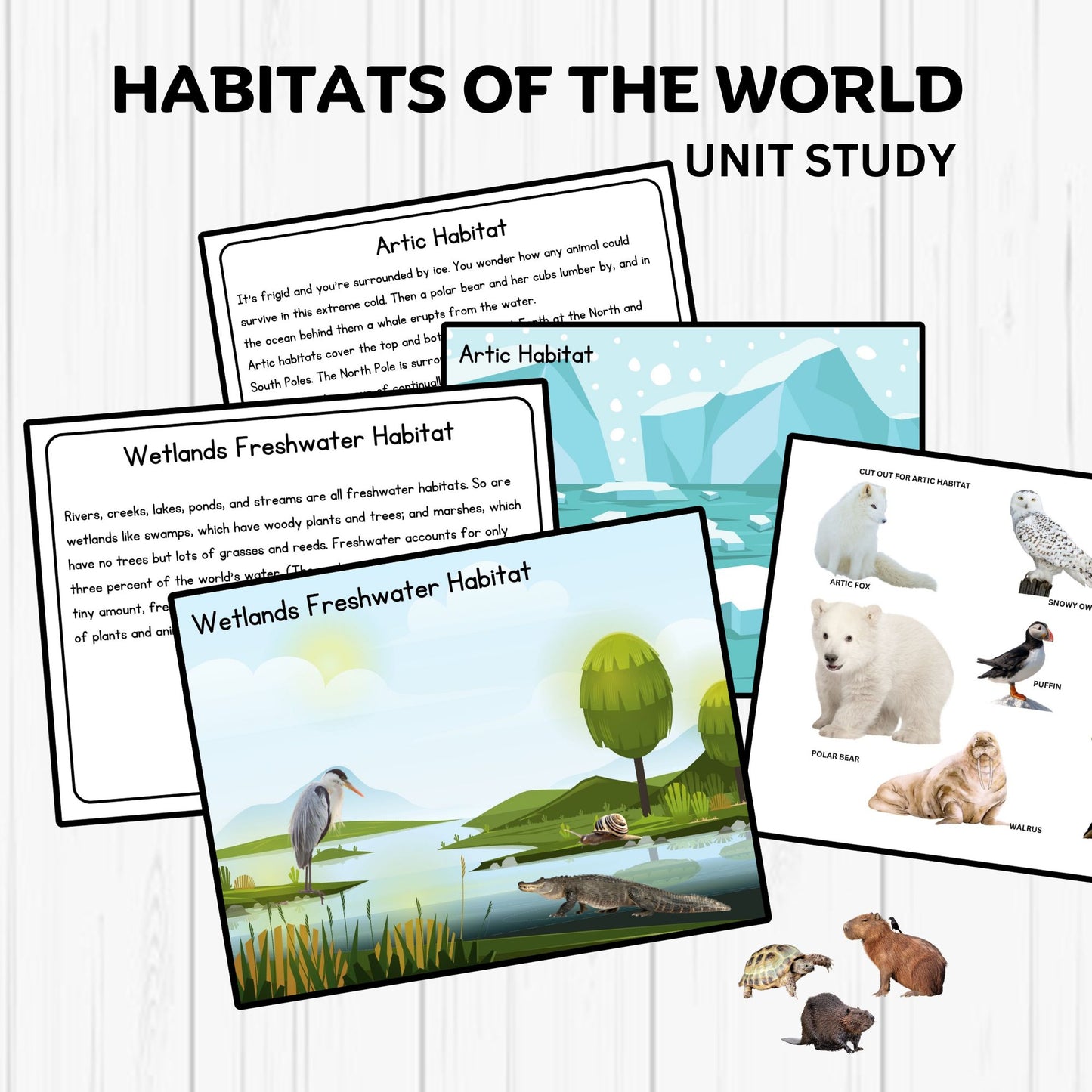Habitats Unit Study Printable Resources Homeschool Learning Bundle Nature Studies Preschool Curriculum Educational Activities Science Unit