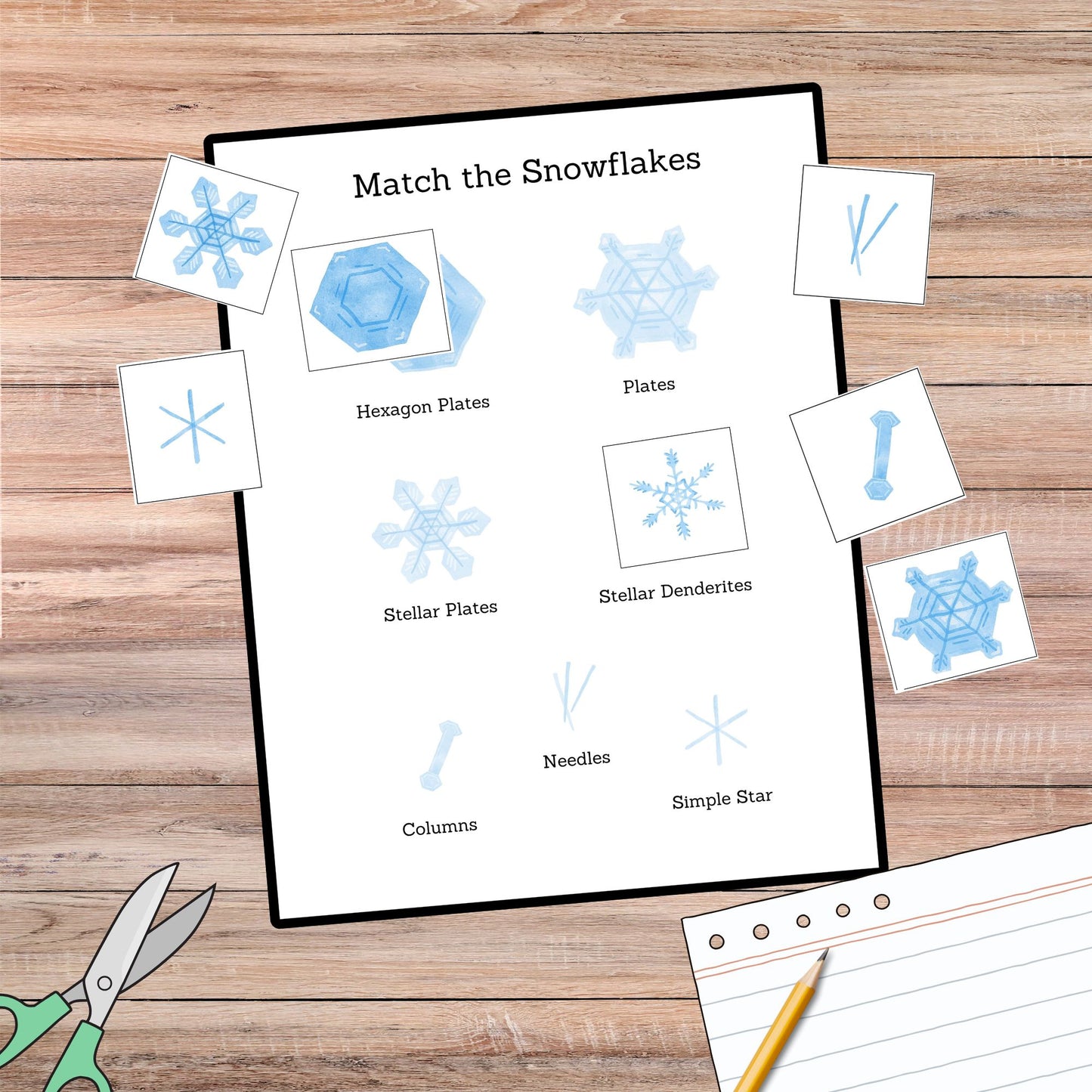 Snow Unit Study Snowflakes Printable Resources Homeschool Learning Bundle Winter Kids Activity Life Cycle of Snow Preschool Curriculum kids