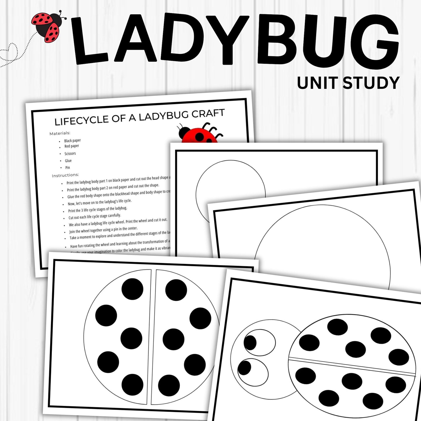Ladybug Unit Study Homeschool Spring Printables Charlotte Mason kids Nature Study Anatomy of a Ladybug Life Cycle Ladybird Study Pack