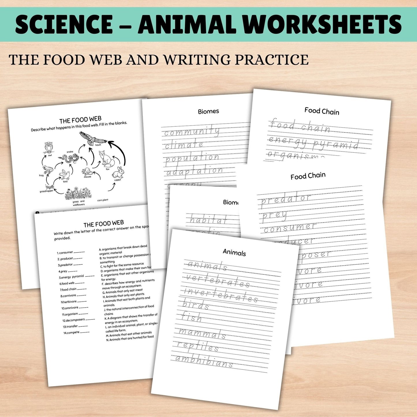 Science Curriculum for Kids | Animals Busy Book | Homeschool Learning Binder | Interactive Science Unit for Grade 1 & 2 | Homeschool Resources