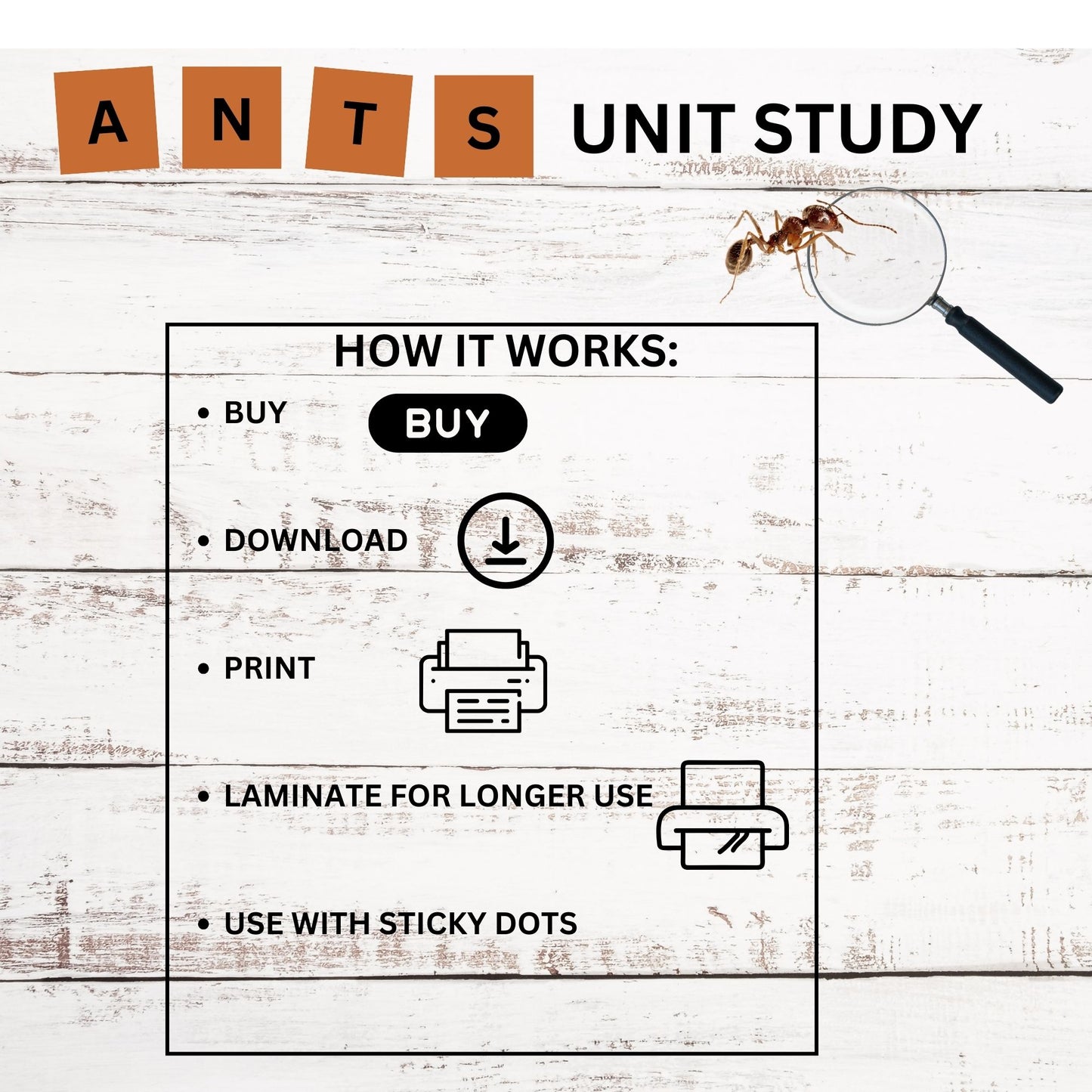 Ant Nature Study Bundle: Charlotte Mason-Inspired Ant Colony Learning Materials, Life Cycle Activities & Animal Habitat Printables for Kids