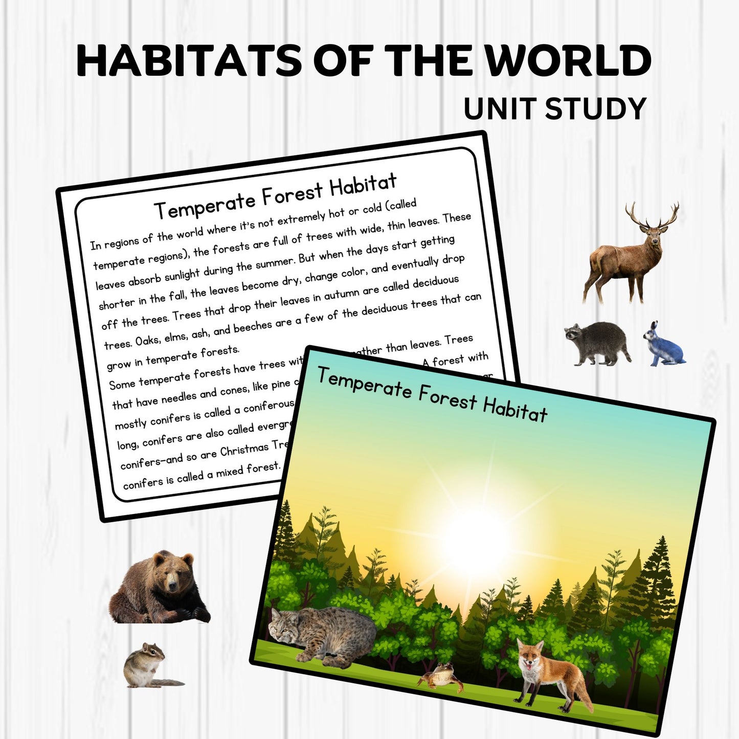 Habitats Unit Study Printable Resources Homeschool Learning Bundle Nature Studies Preschool Curriculum Educational Activities Science Unit