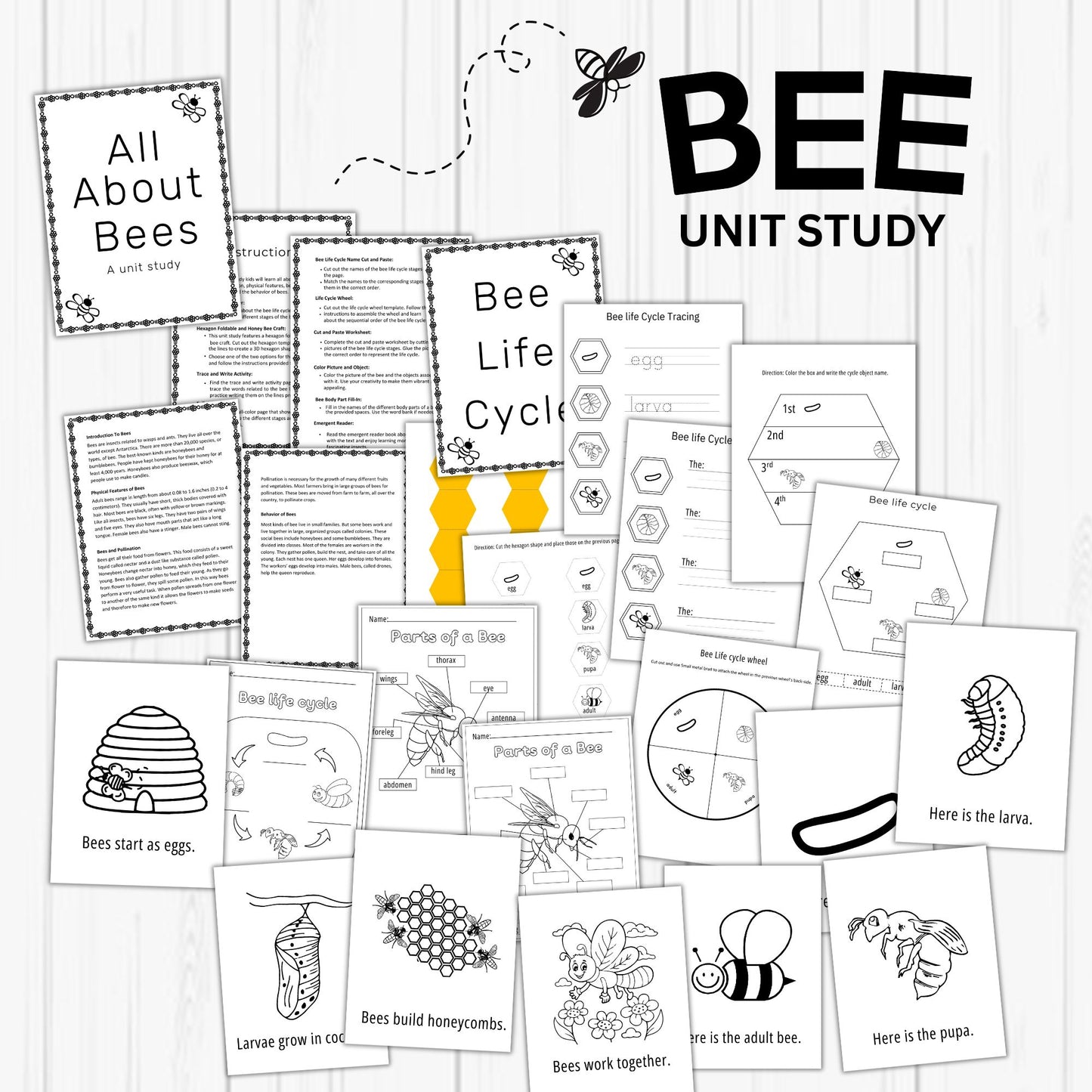 Insect and Pollination Unit Study Bundle – Butterfly, Bee, Ladybug, Flower Worksheets for Kids