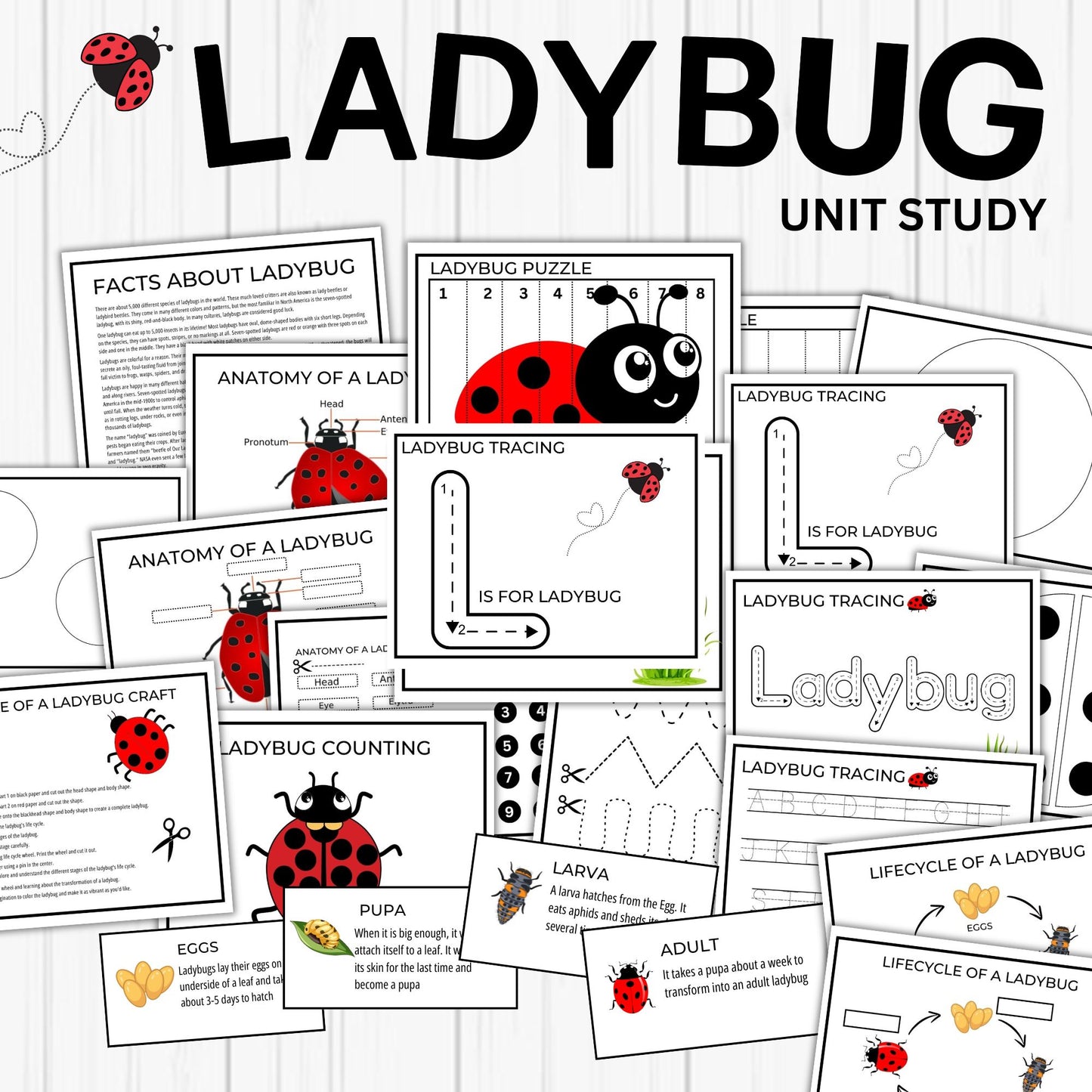 Insect and Pollination Unit Study Bundle – Butterfly, Bee, Ladybug, Flower Worksheets for Kids