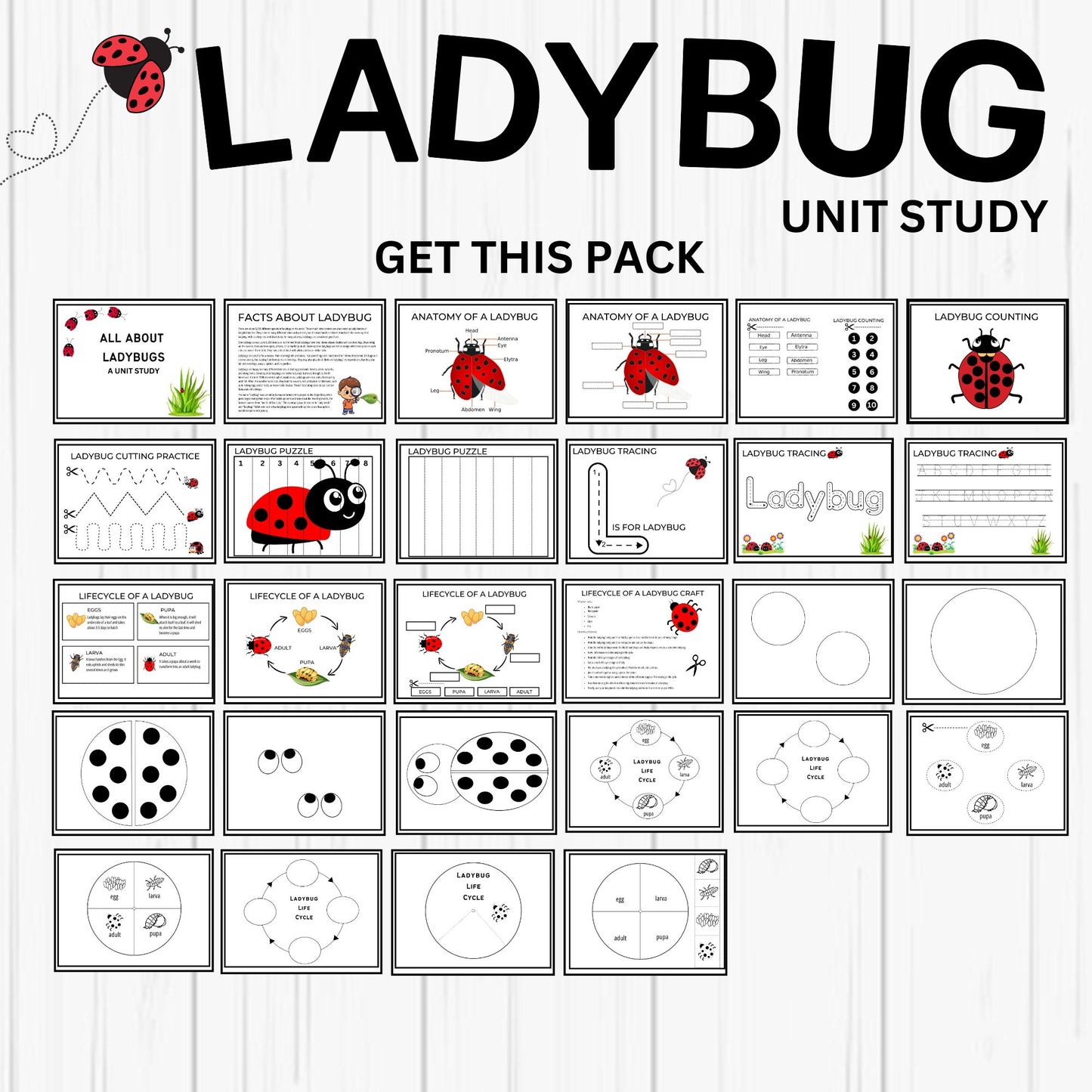 Insect and Pollination Unit Study Bundle – Butterfly, Bee, Ladybug, Flower Worksheets for Kids