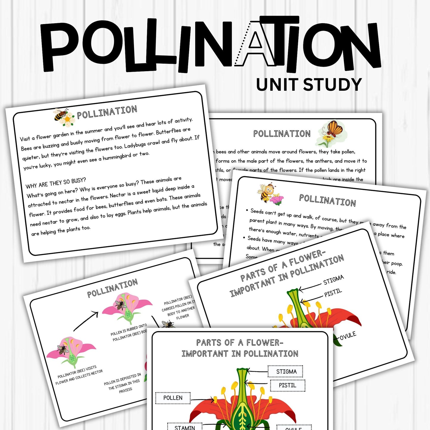 Insect and Pollination Unit Study Bundle – Butterfly, Bee, Ladybug, Flower Worksheets for Kids