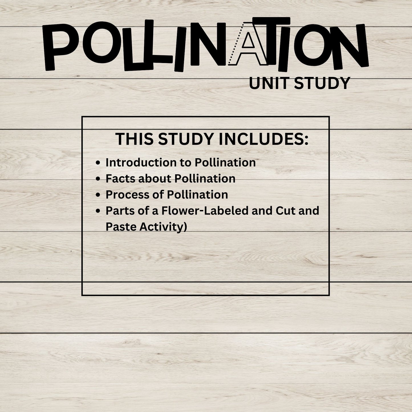 Insect and Pollination Unit Study Bundle – Butterfly, Bee, Ladybug, Flower Worksheets for Kids