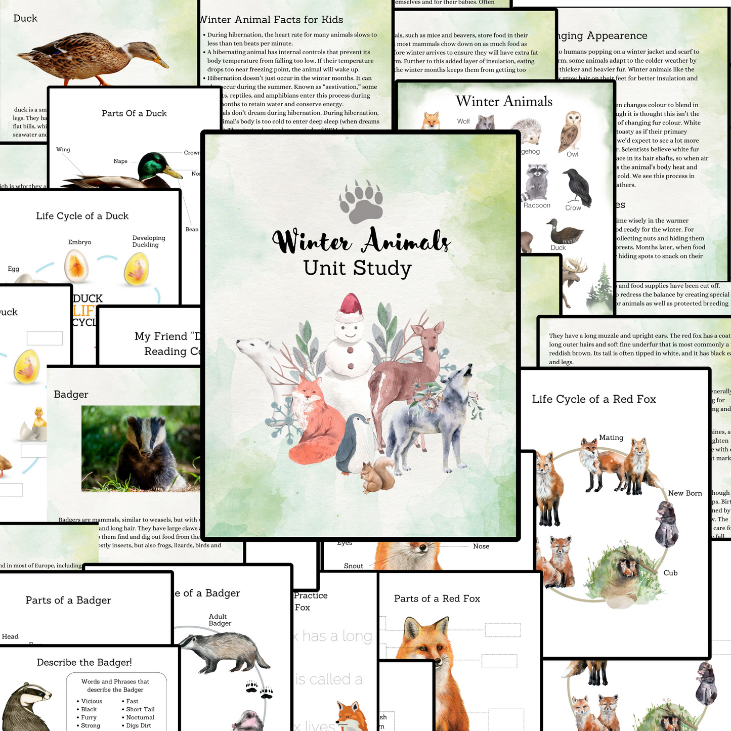 Winter Animals Unit Study Nature Learning Animals Tracks Homeschooling Busy Book Kids Learning Binder Red Fox Duck Badger Unit Study Kids