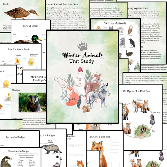 Winter Animals Unit Study Nature Learning Animals Tracks Homeschooling Busy Book Kids Learning Binder Red Fox Duck Badger Unit Study Kids