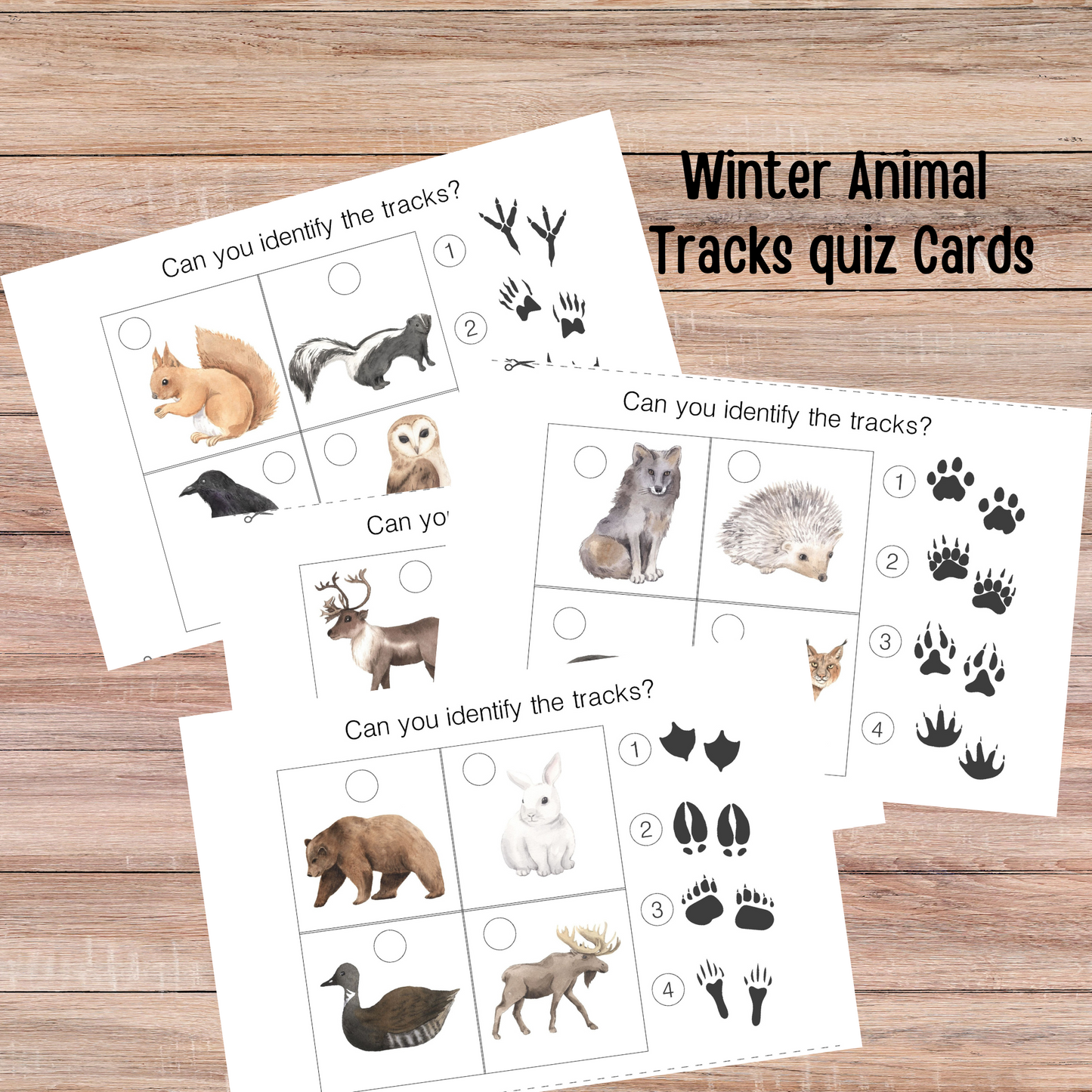 Winter Animals Unit Study Nature Learning Animals Tracks Homeschooling Busy Book Kids Learning Binder Red Fox Duck Badger Unit Study Kids