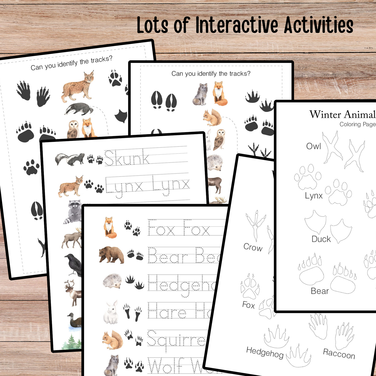 Winter Animals Unit Study Nature Learning Animals Tracks Homeschooling Busy Book Kids Learning Binder Red Fox Duck Badger Unit Study Kids