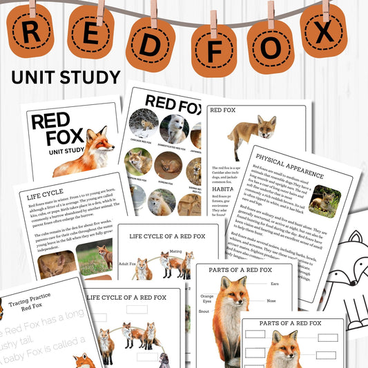 Red Fox Unit Study Kids Homeschool Fall Activities Red Fox Anatomy & Life Cycle Red Fox Poster and Flash Cards Nature Study Journal