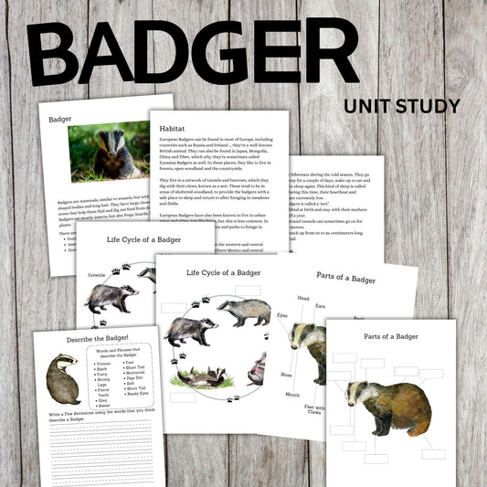 Badger Unit Study Printable | Life Cycle, Habitat, Facts, Anatomy Worksheets and Writing Activities