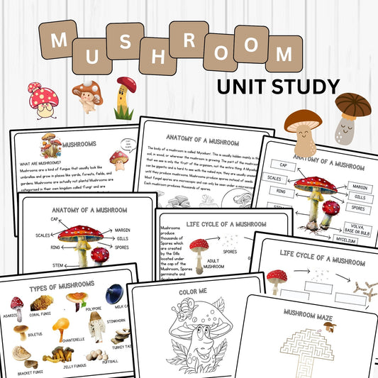 Mushroom Unit Study Life Cycle Anatomy  Nature Study Coloring Maze Types of Mushroom Homeschool Printable  Montessori Preschool Activity