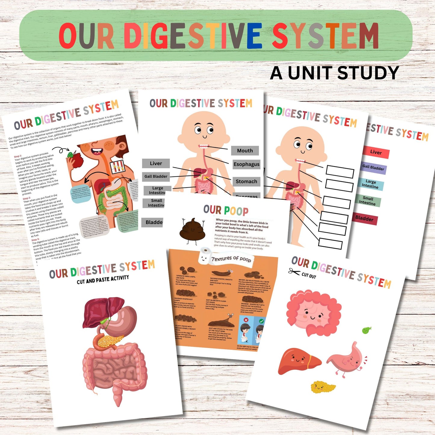 Digestive Adventure Unit Study | Kid-Friendly Digestive System Unit Study | Fun & Engaging Activities for Learning Digestion