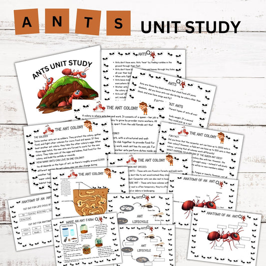 Ant Nature Study Bundle: Charlotte Mason-Inspired Ant Colony Learning Materials, Life Cycle Activities & Animal Habitat Printables for Kids