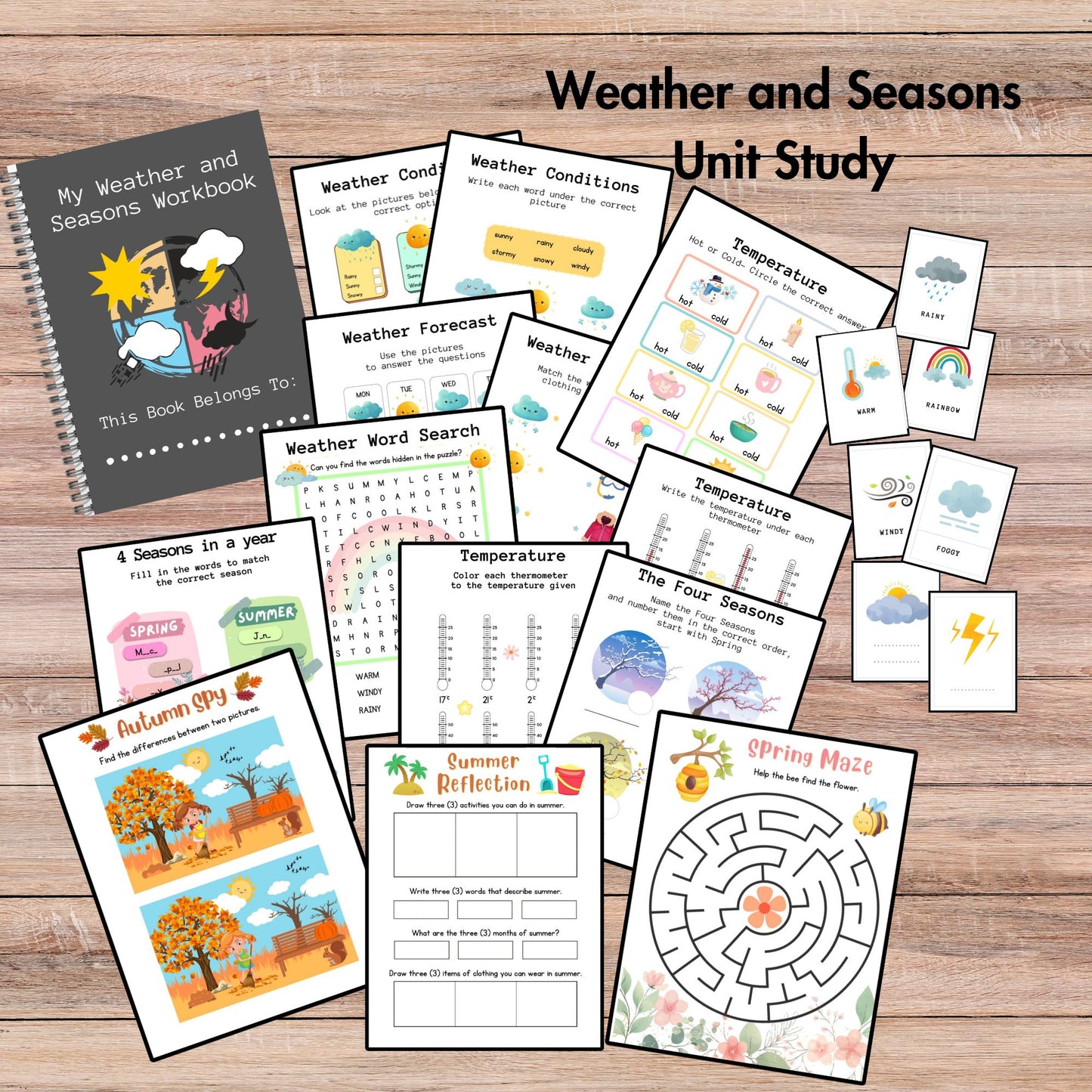 Weather and Seasons Unit Study Homeschool Learning Materials Educational Activities for Kids Temperature Weather Flashcard Season Activities