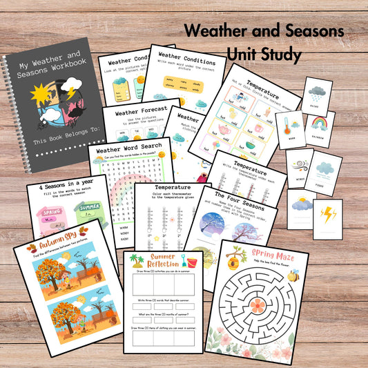 Weather and Seasons Unit Study Homeschool Learning Materials Educational Activities for Kids Temperature Weather Flashcard Season Activities